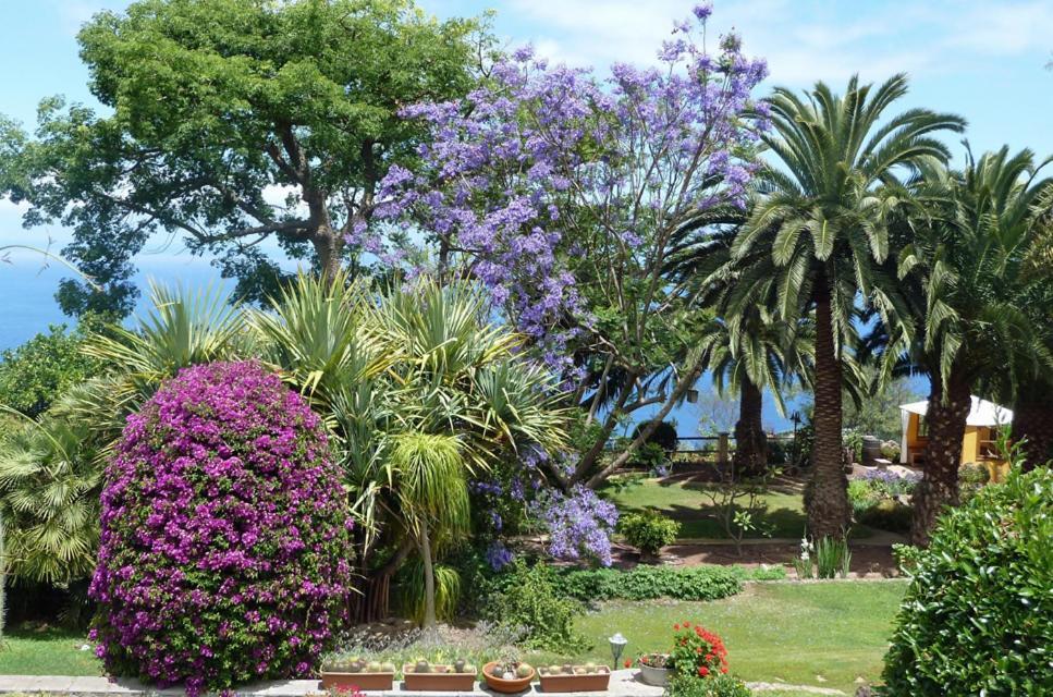 Готель Finca Casa Vieja Санта-Урсула Екстер'єр фото