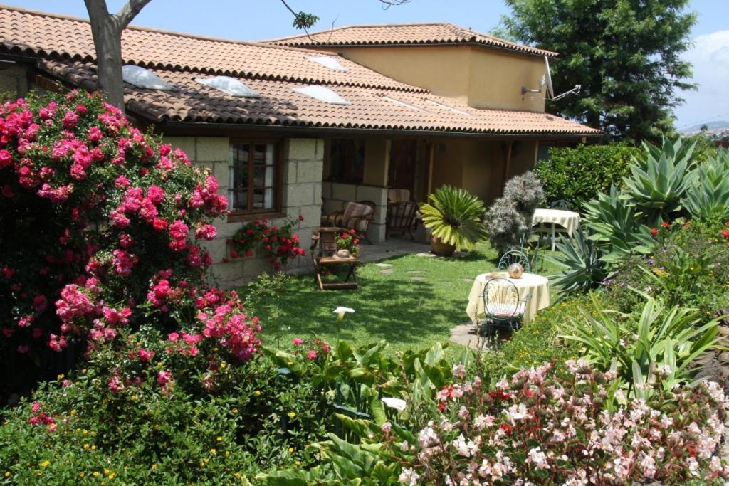 Готель Finca Casa Vieja Санта-Урсула Екстер'єр фото