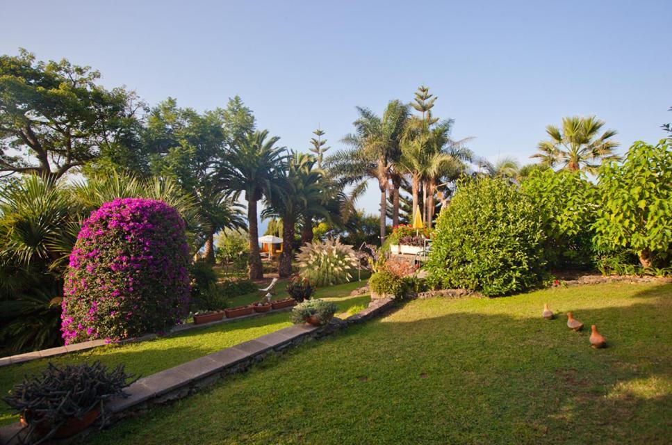 Готель Finca Casa Vieja Санта-Урсула Екстер'єр фото